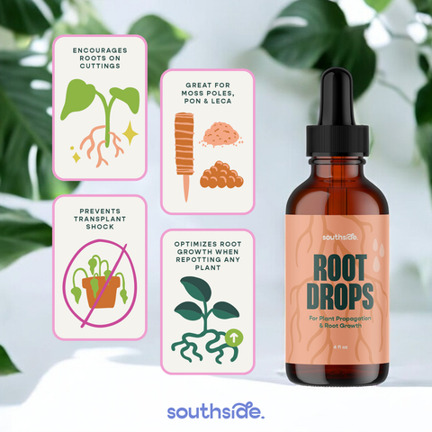 Root Drops for Propagations & Repotting