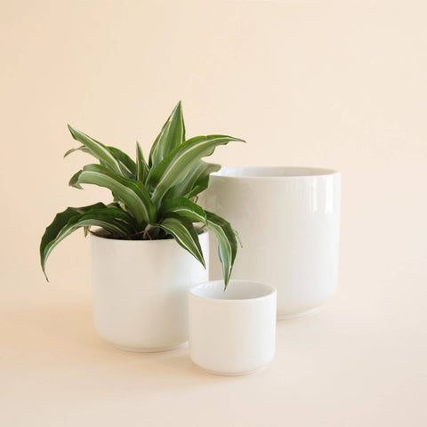 Charlie Pot