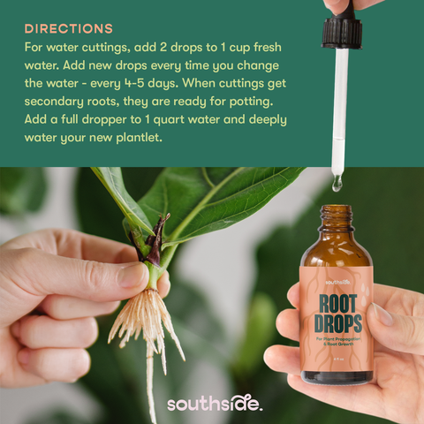 Root Drops for Propagations & Repotting