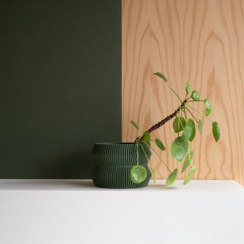 Ito Planter with Tray