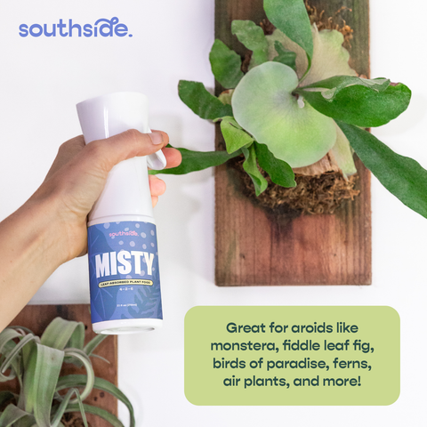 Misty Leaf-Absorbed Fertilizer