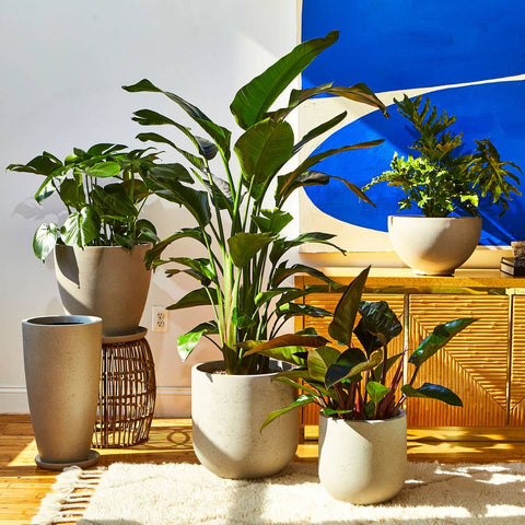 Newel Planter