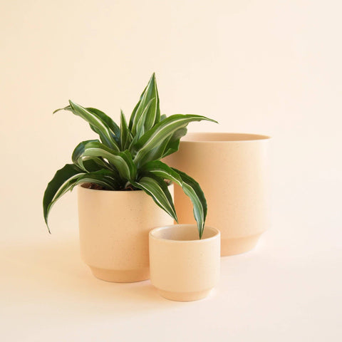 Parker Pot