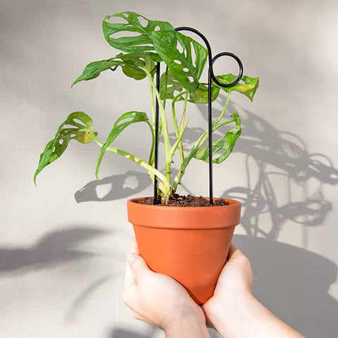 Mini Plant Stakes