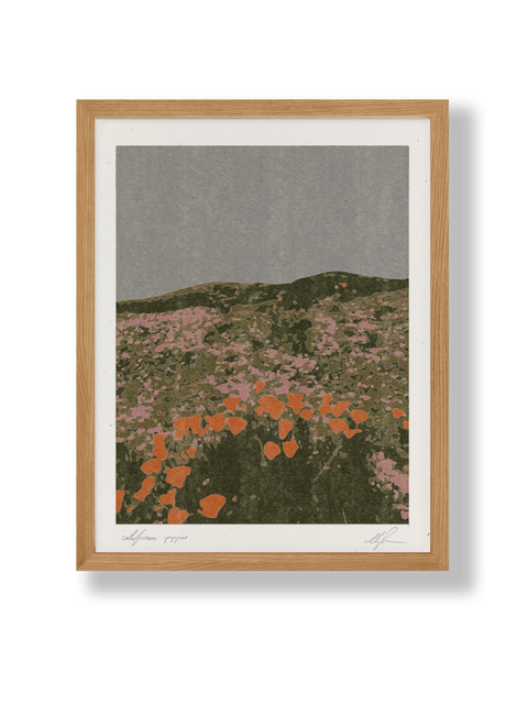 California Poppies Print