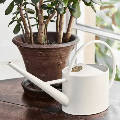 Buttermilk Watering Can