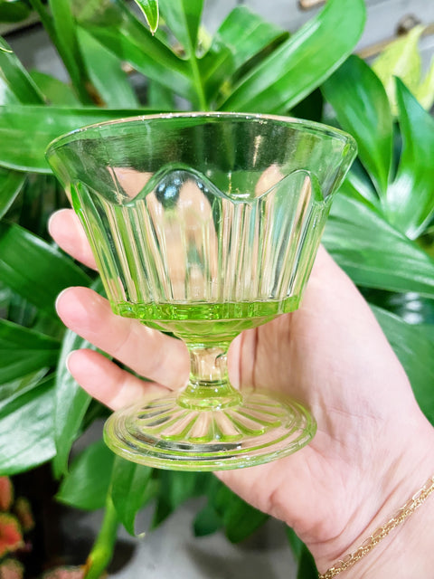 Vintage Anchor Hocking Colonial Vaseline Coupe Glasses