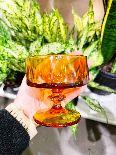 Vintage Colony Nouveau Coupe Glasses