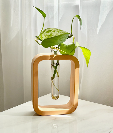 Cement Plant Propagation Vase