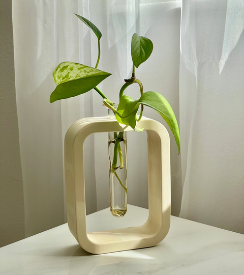 Cement Plant Propagation Vase