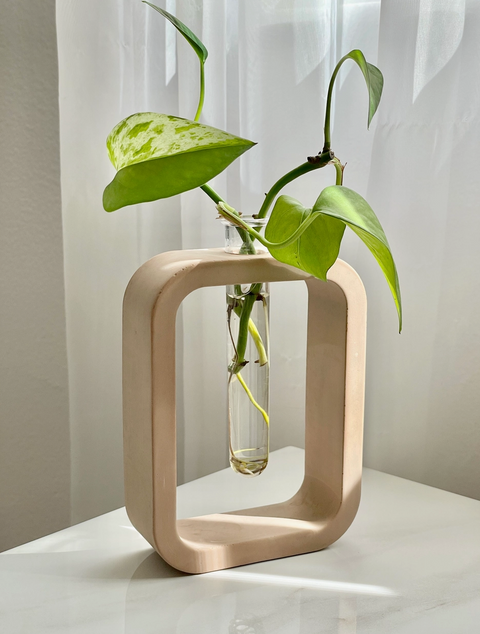 Cement Plant Propagation Vase