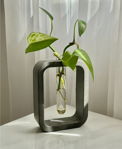 Cement Plant Propagation Vase