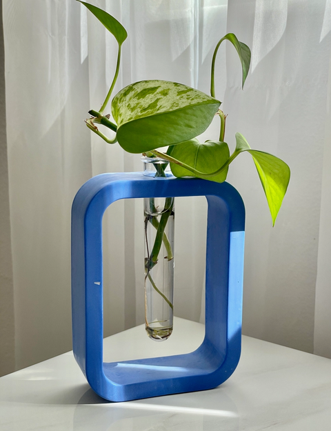 Cement Plant Propagation Vase