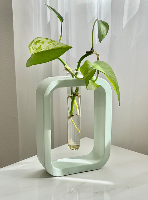 Cement Plant Propagation Vase