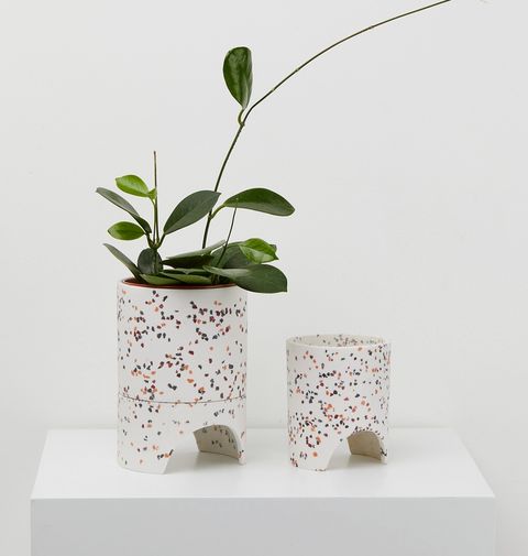 Archie Planter