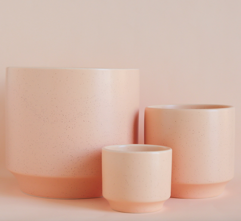 Parker Pot