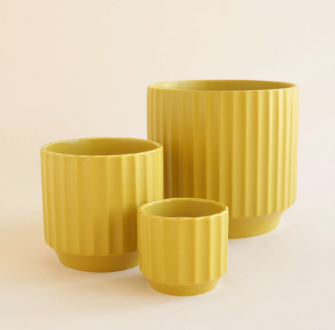 Monroe Pot