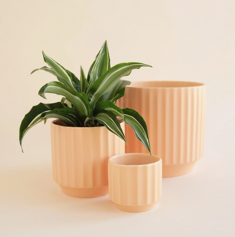 Monroe Pot