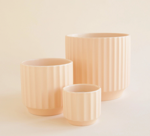 Monroe Pot