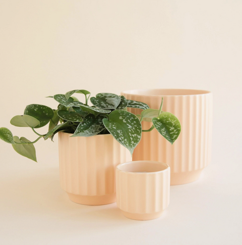 Monroe Pot
