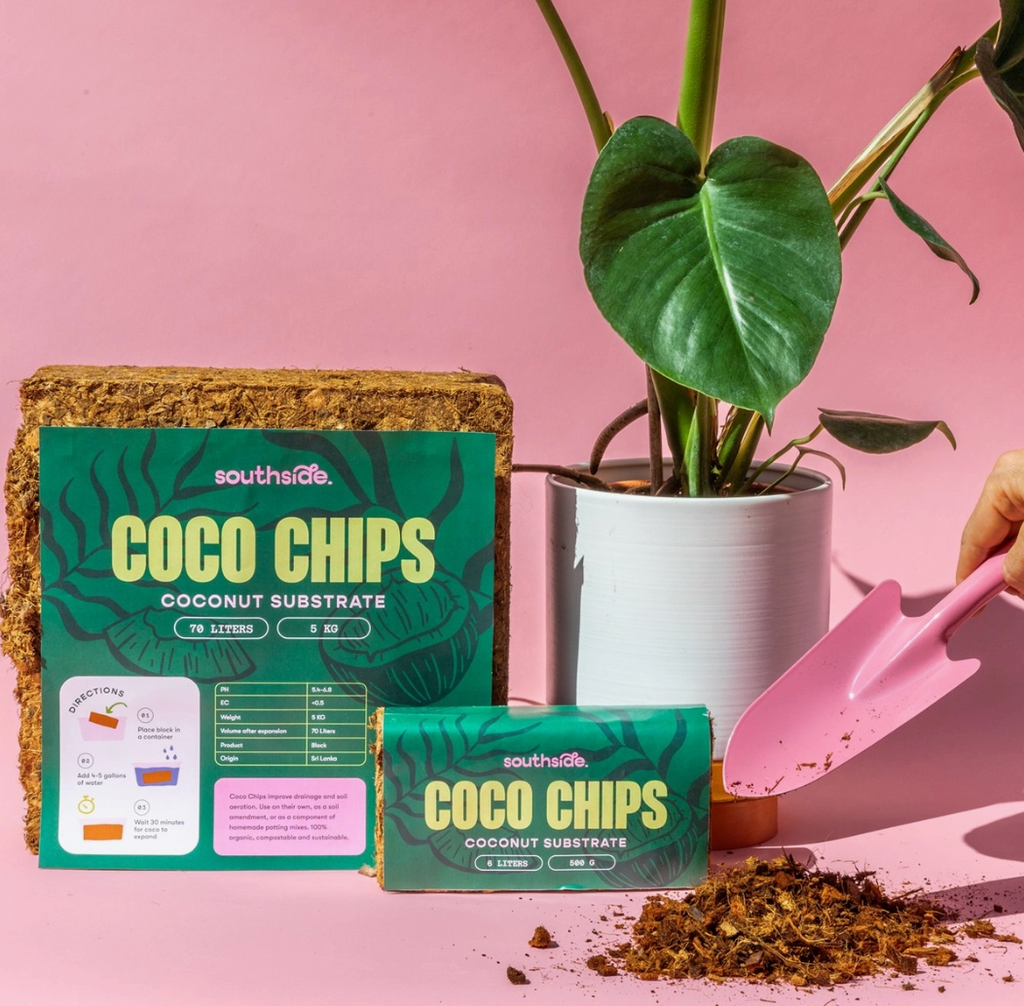 Coco Chips – Jungle & Loom