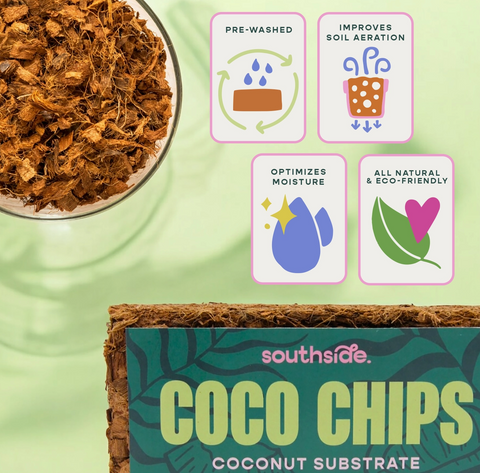 Coco Chips