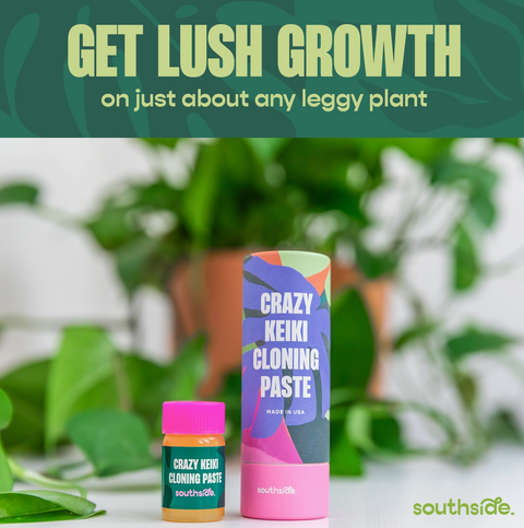 Keiki Cloning Propagation Paste