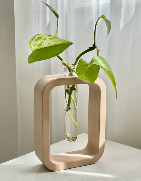 Cement Plant Propagation Vase