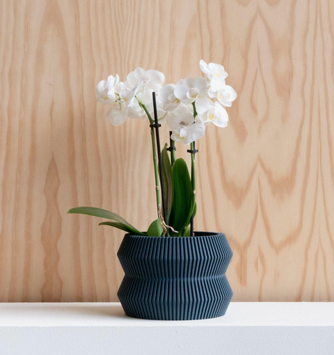 Ito Planter with Tray
