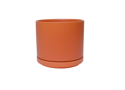Ceramic Planter w/ tray