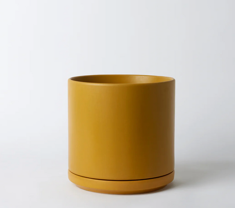 Ceramic Planter w/ tray