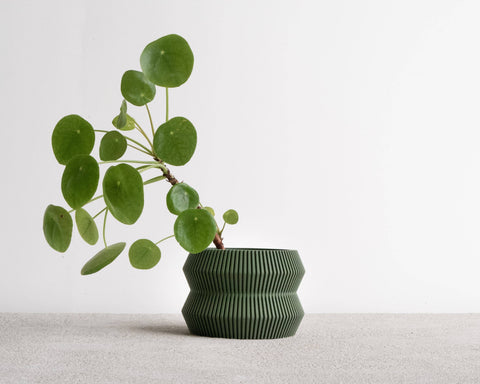 Ito Planter with Tray