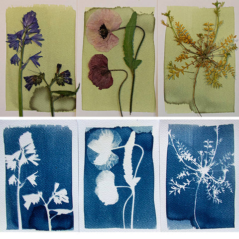 Cyanotype Kit DIY Sun Prints π