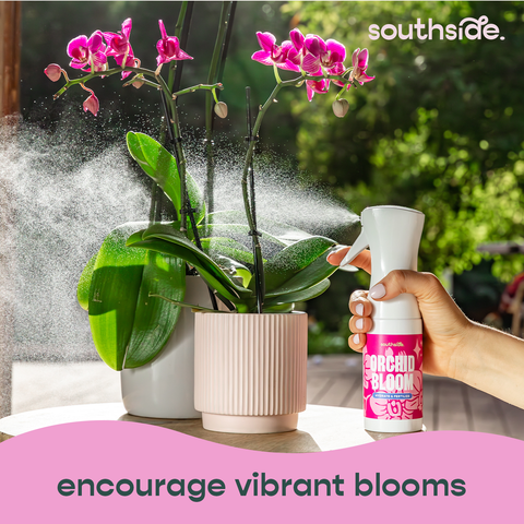 Orchid Grow and Bloom Sprays