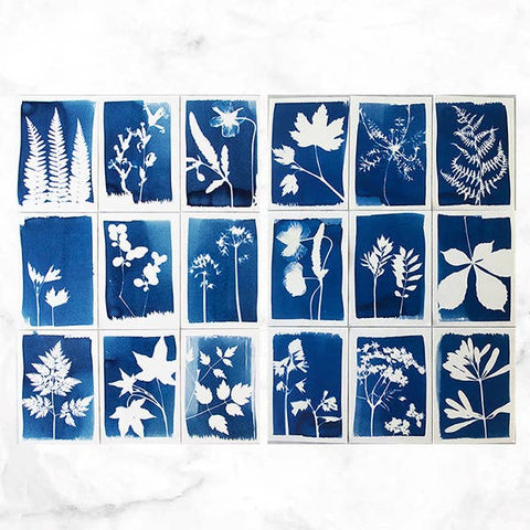 Cyanotype Kit DIY Sun Prints π
