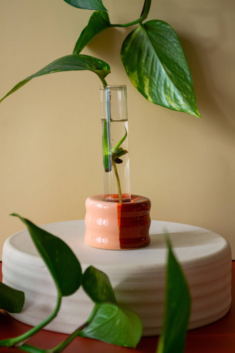 Ceramic Propagation Stand