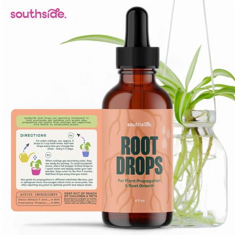 Root Drops for Propagations & Repotting