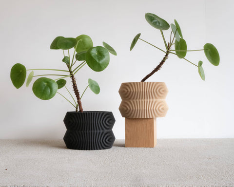 Ito Planter with Tray