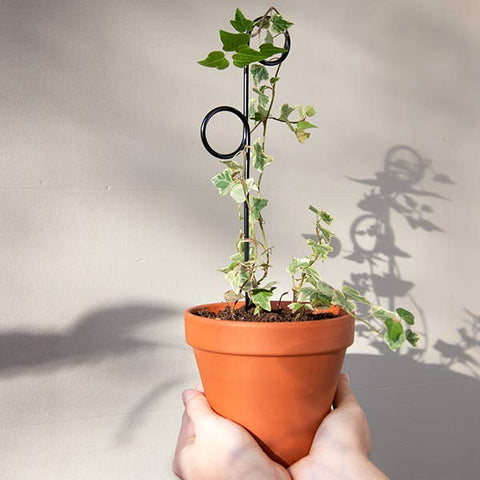 Mini Plant Stakes