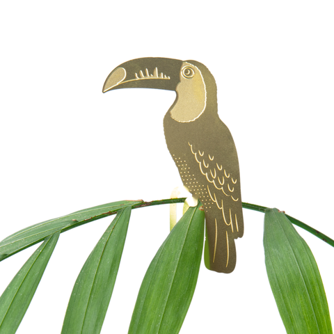 Plant Animal - Toucan