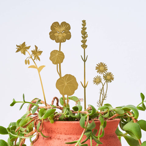 Brass Bloom Herb Floral Plant and Terrarium Decorations