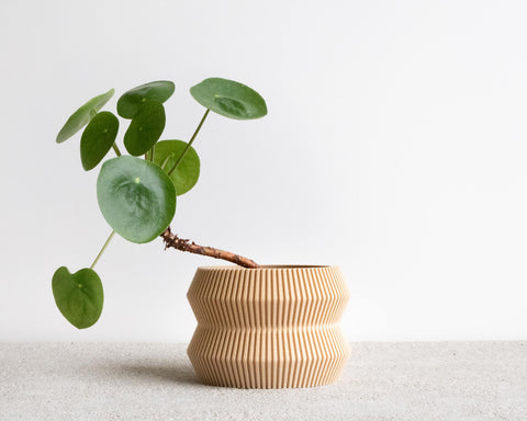 Ito Planter with Tray