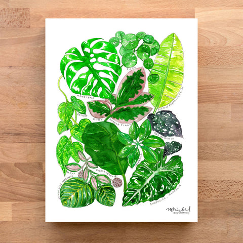 Types of Houseplants Art Print