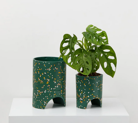 Archie Planter