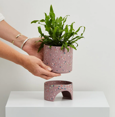 Archie Planter