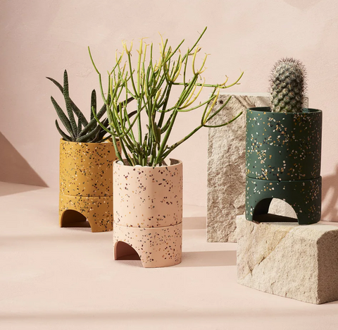 Archie Planter