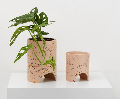 Archie Planter