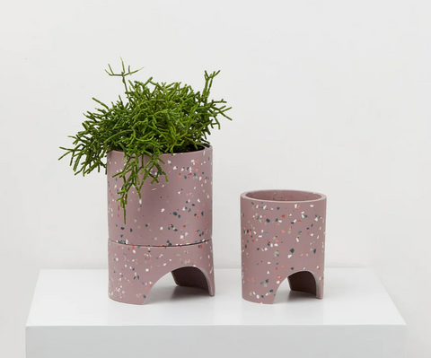 Archie Planter