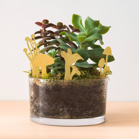 Mini Mushrooms Plant and Terrarium Decoration