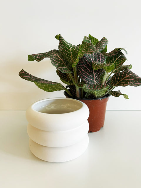 Stacking Planters